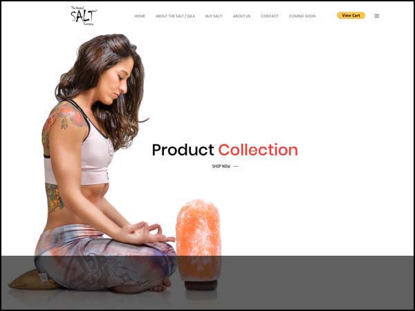 Rich Taylor Designs